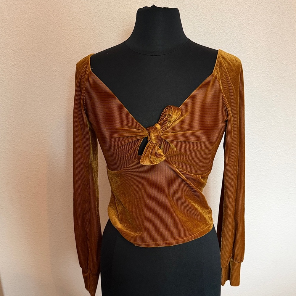 Gold long sleeve velvet shirt